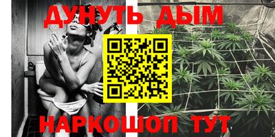 apvp Дмитров