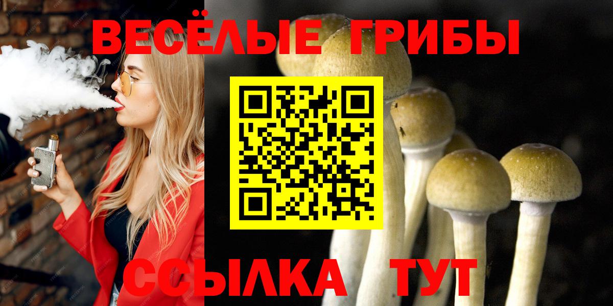 Галлюциногенные грибы GOLDEN TEACHER Вышний Волочёк